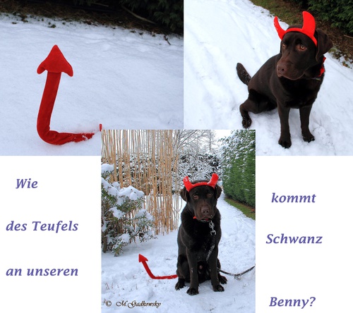 Kalendertürchen 3. Dezember - Rückblick Februar 2013 Benny's erstes Faschingsfest
